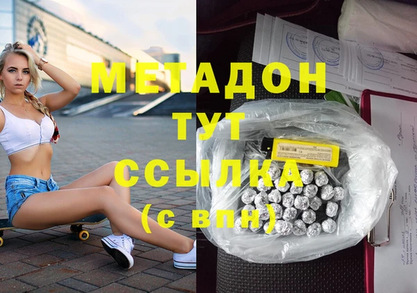 шишки Инта
