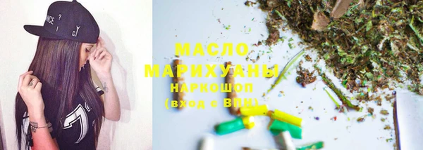 шишки Инта