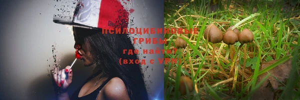 шишки Инта