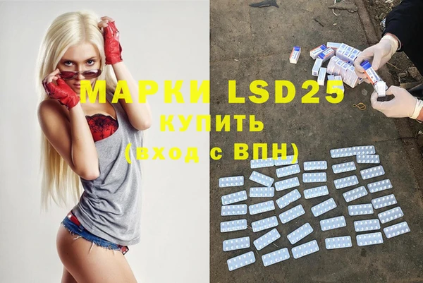 шишки Инта