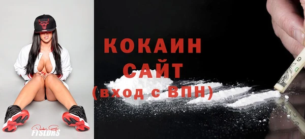 кокс Инсар
