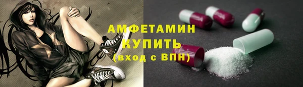 шишки Инта