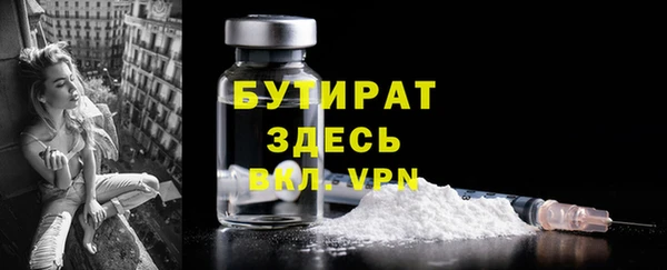 шишки Инта