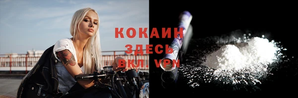 шишки Инта