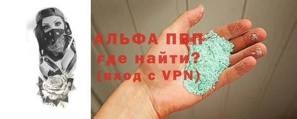 шишки Инта