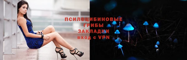 ALPHA PVP Иннополис
