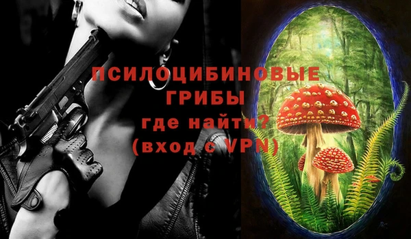шишки Инта