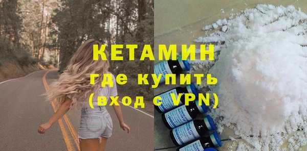 шишки Инта
