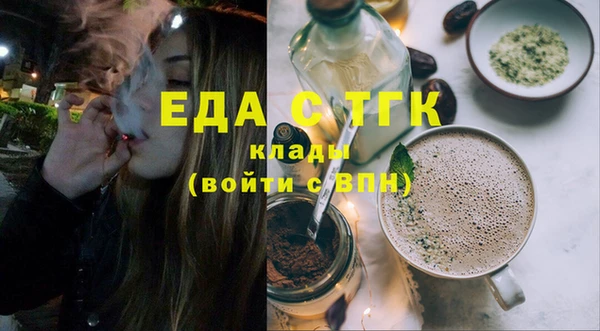 шишки Инта