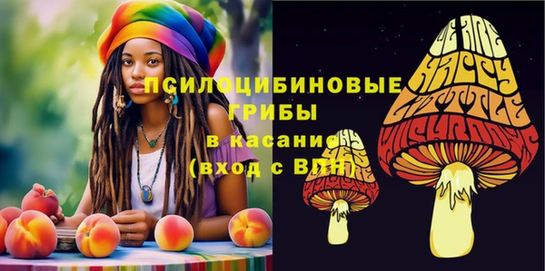 кокс Инсар