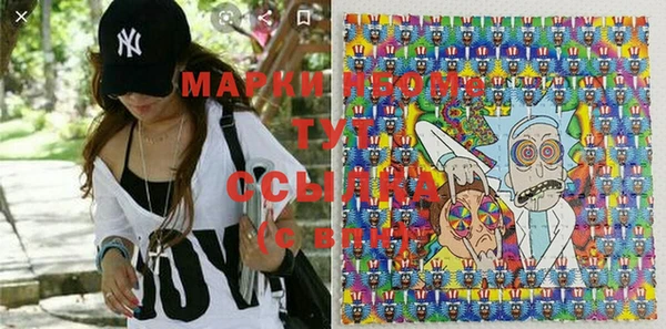 шишки Инта