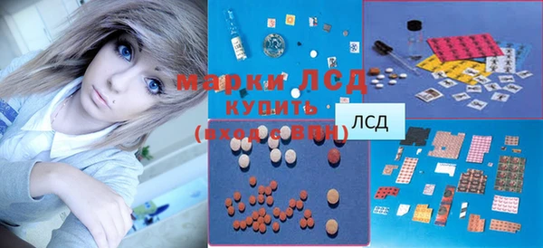 ALPHA PVP Иннополис