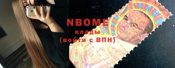шишки Инта