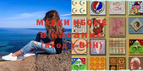 шишки Инта