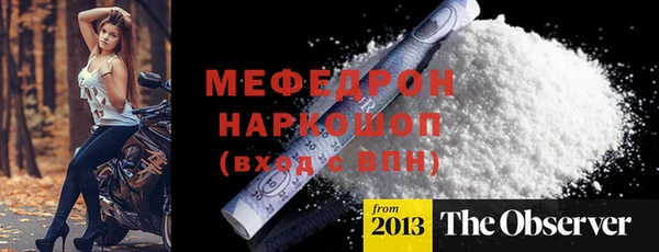 шишки Инта